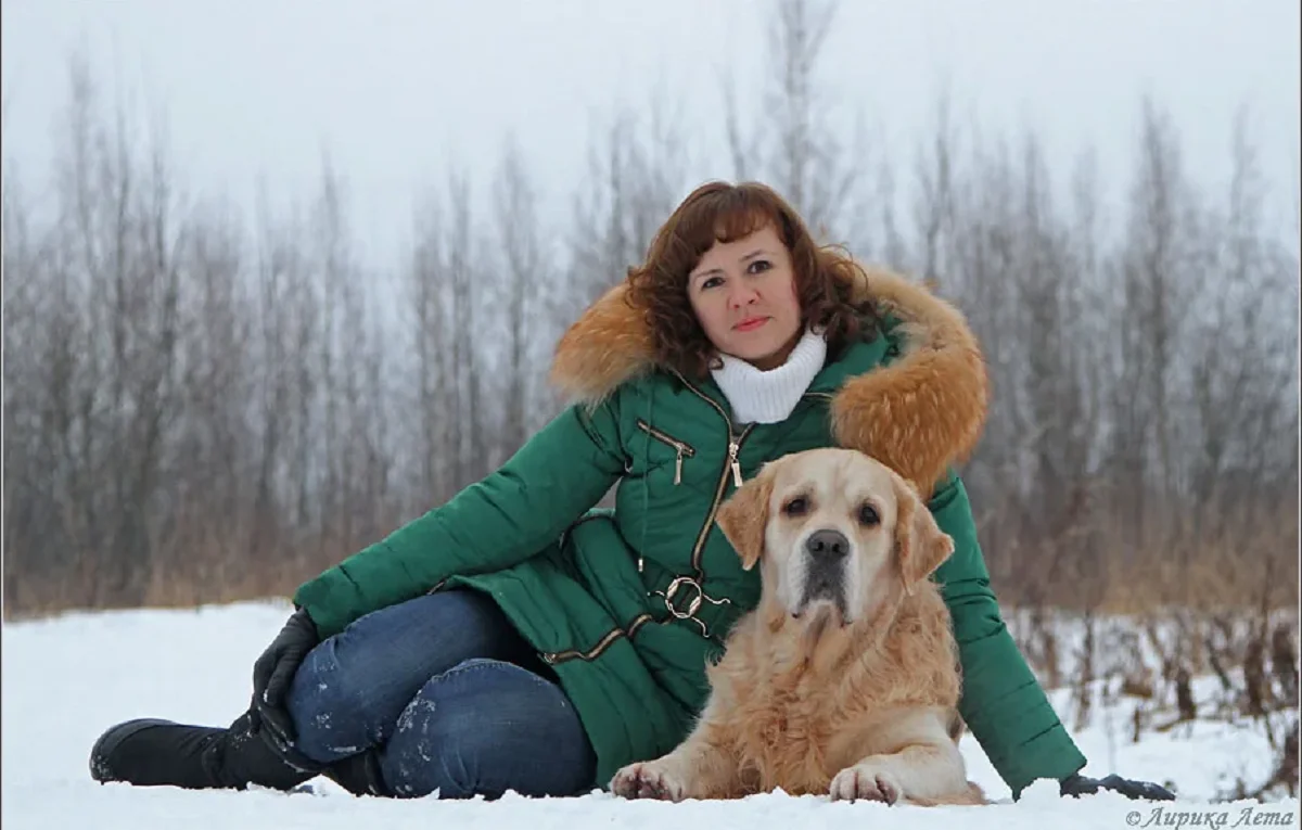 Питомник папийонов Москва